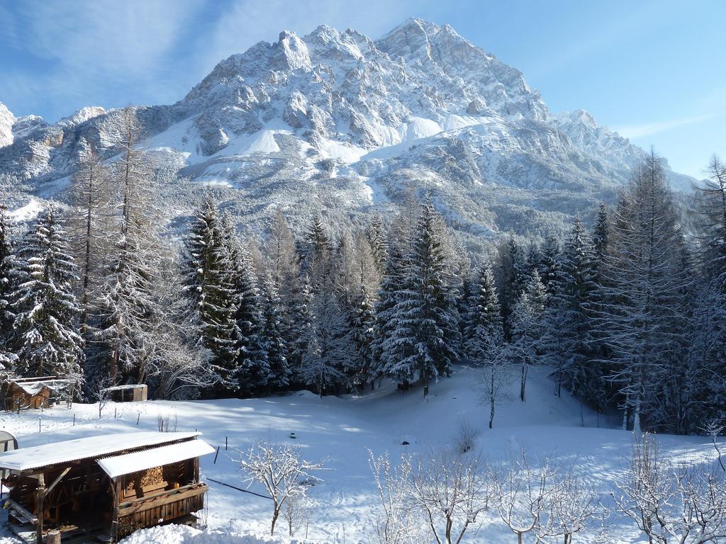 Appartamenti Da Nica E Diego Borca di Cadore Habitación foto